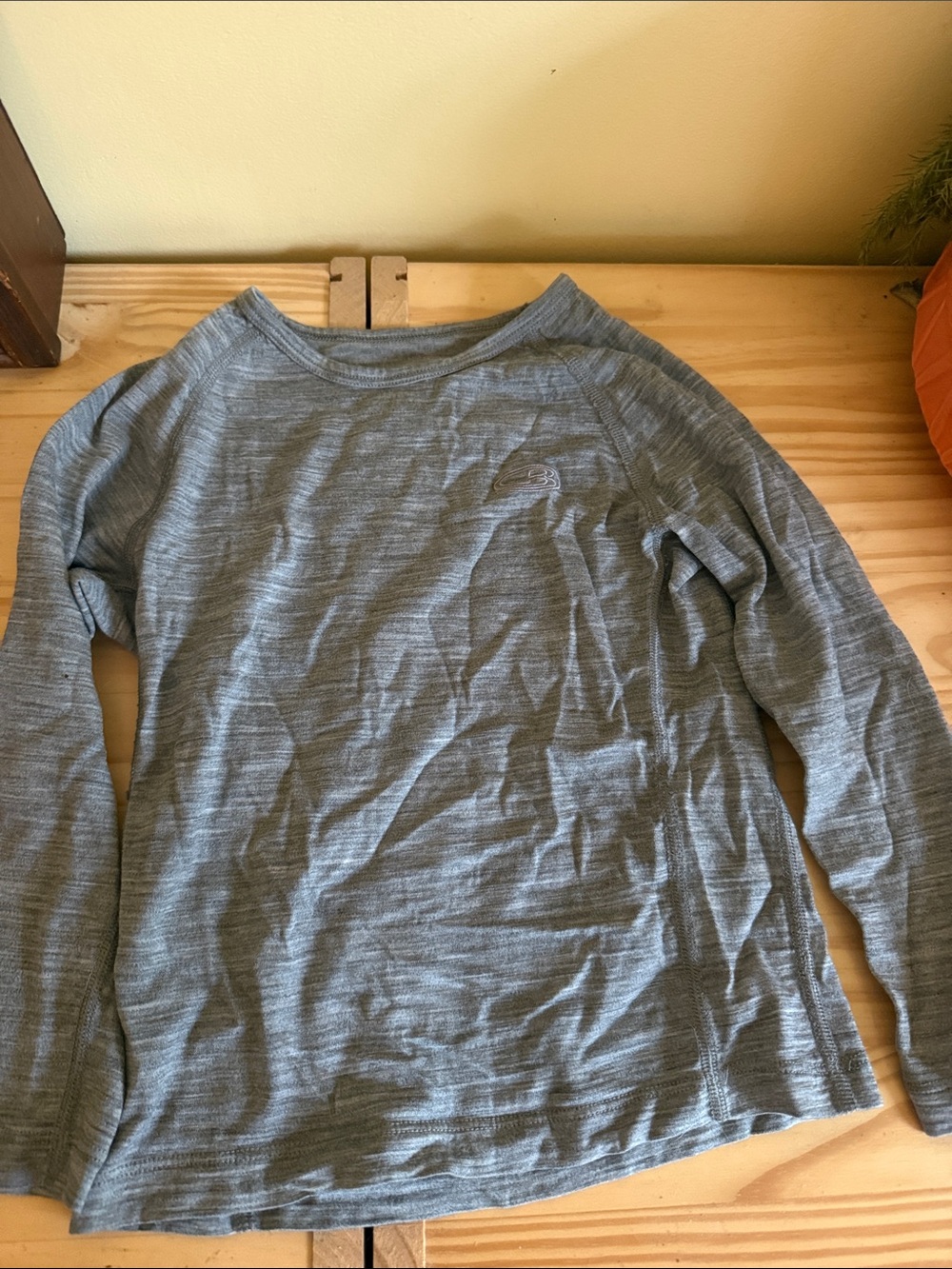Icebreaker merino wool kids top